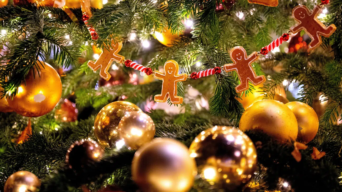 Efter en imam fra Aarhus for alvor satte en stopper for (bag)julefreden med et, nu slettet, Facebook-opslag, er det væltet frem med kritik. Men i særlige grupper på nettet, møder udmeldingen opbakning.