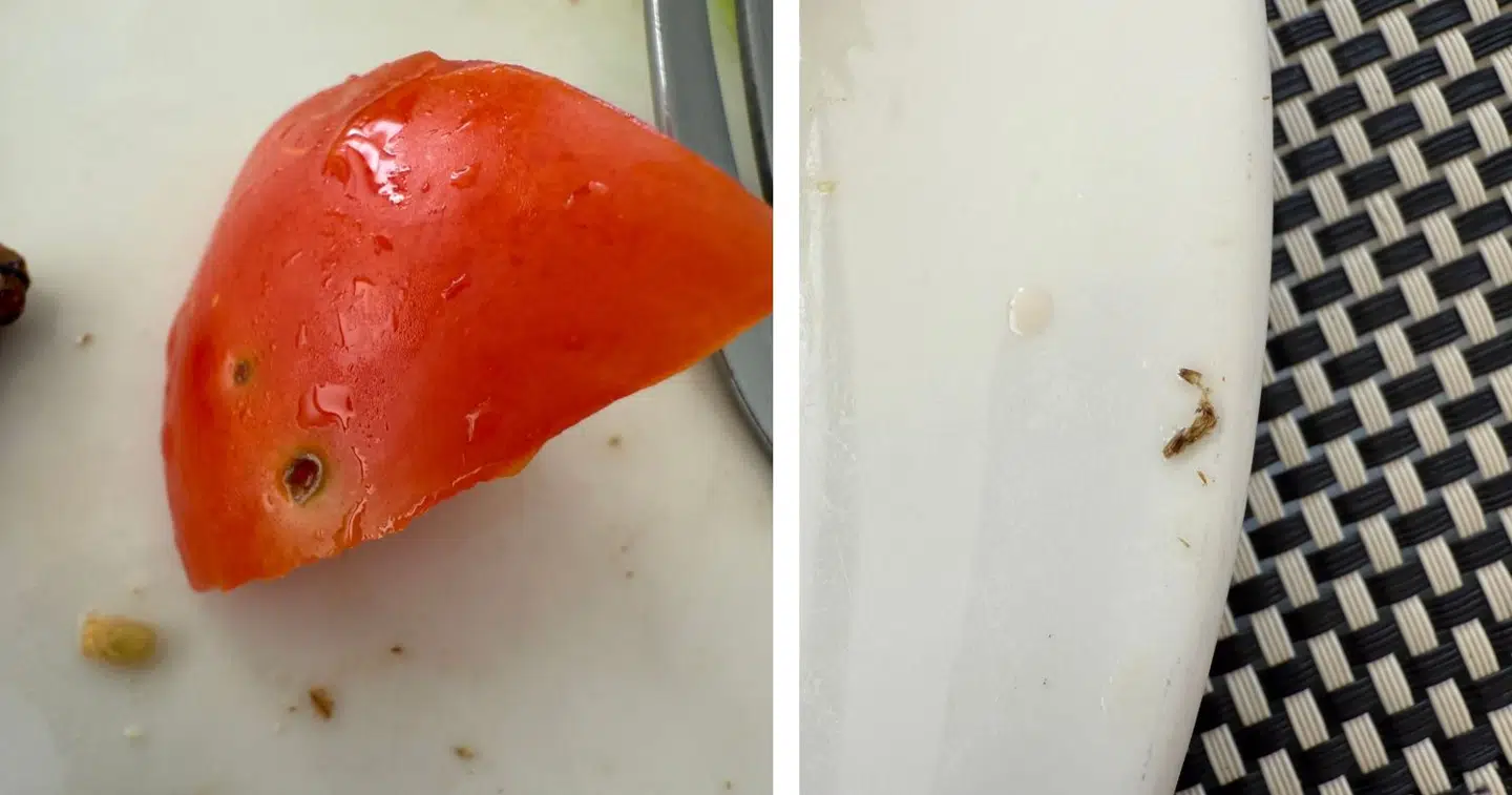 Gitte Koefoed blev blandt andet serveret en tomat med orm i under sit ophold på det femstjernede Hotel TUI Blue i Kap Verde. Foto: Privat