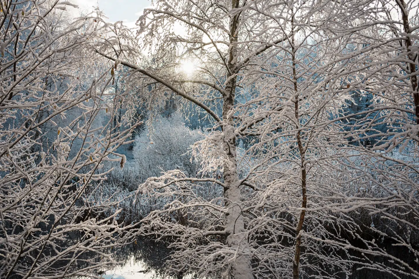 Det ser ud til, at det for en stund bliver koldere med enkelte snebyger.