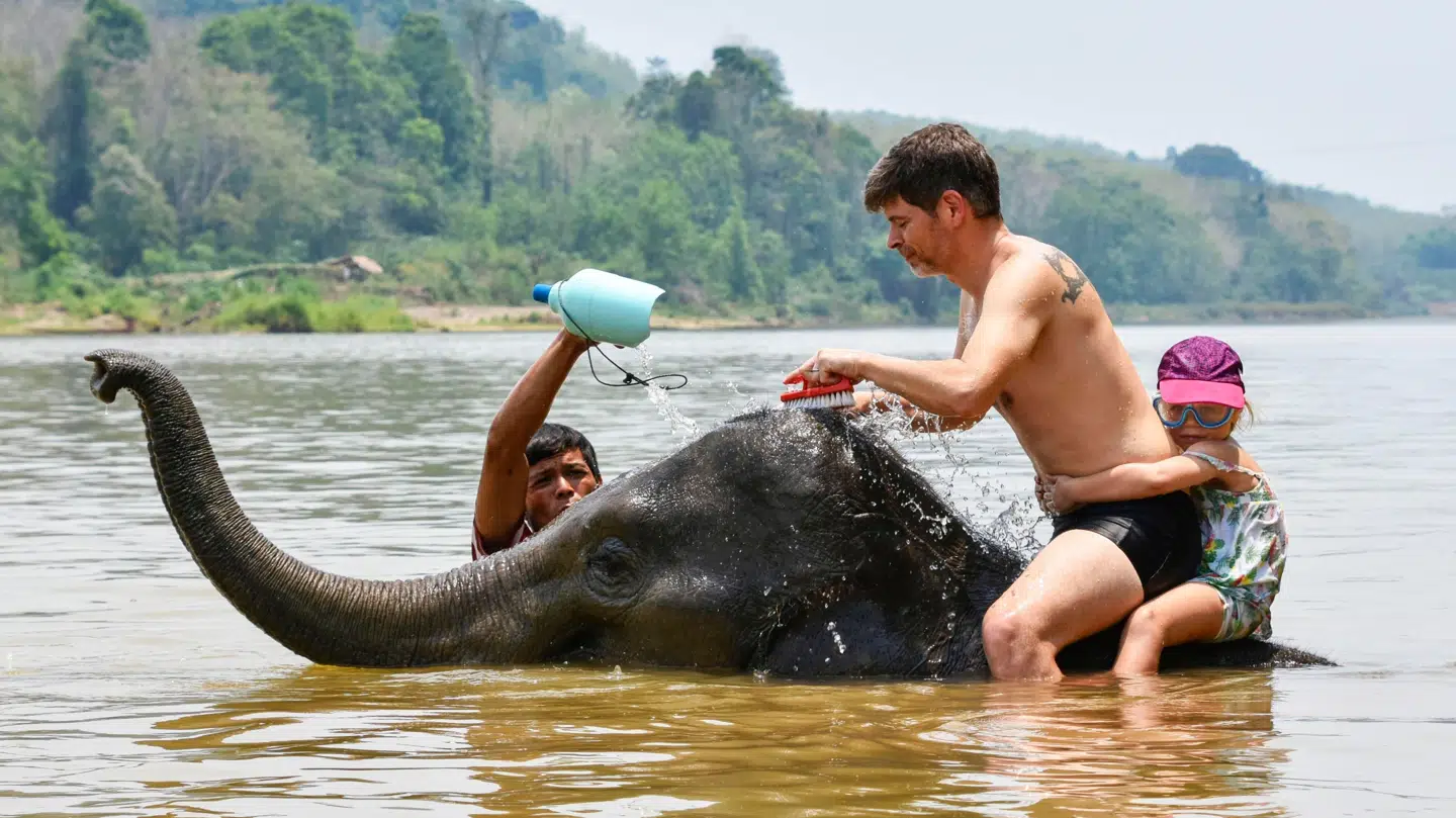 (Arkivfoto) En 22-årig spansk turist er død efter at være blevet spiddet af en elefant i Thailand.