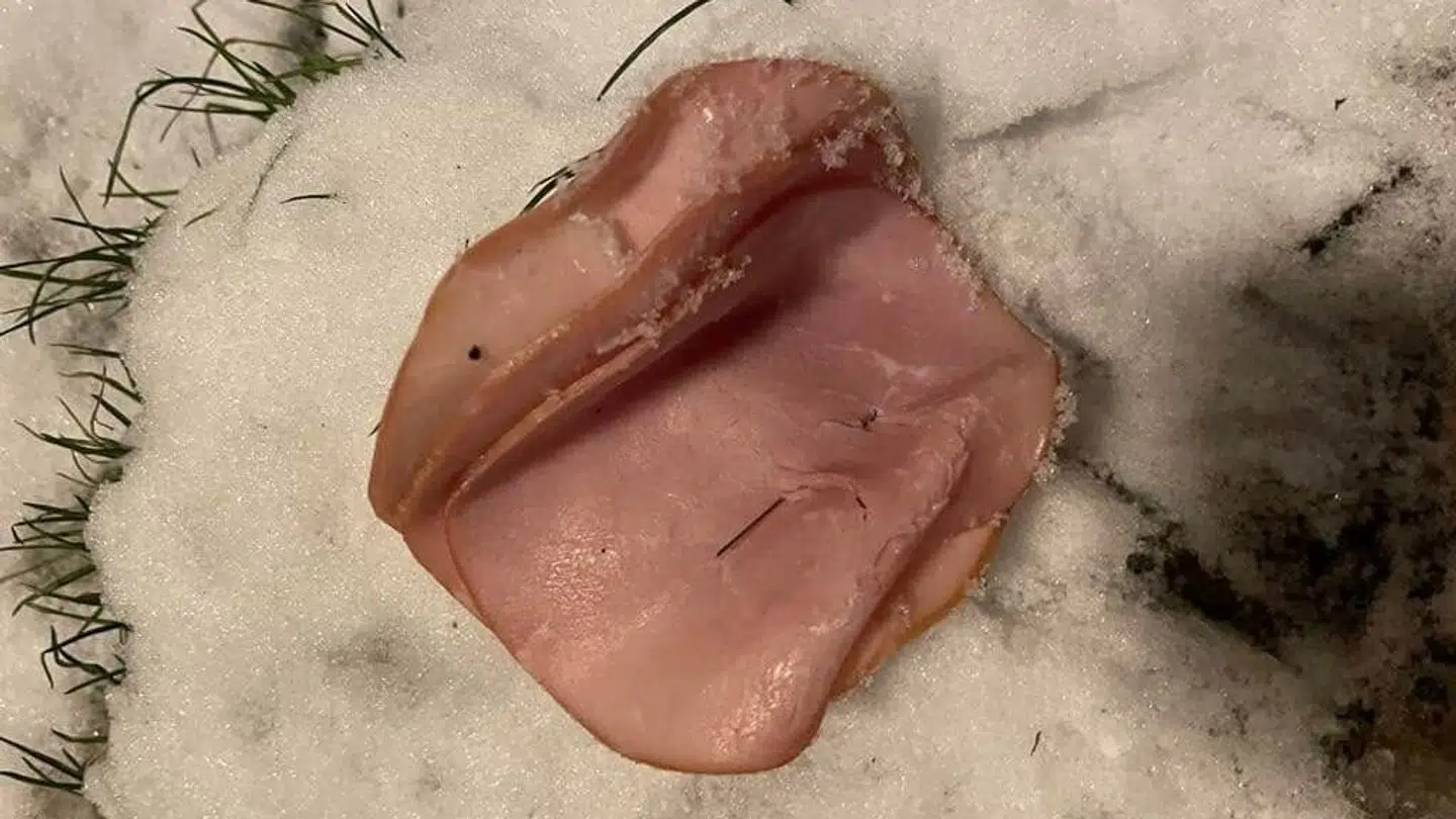 Et stykke kødpålæg med en nål i.