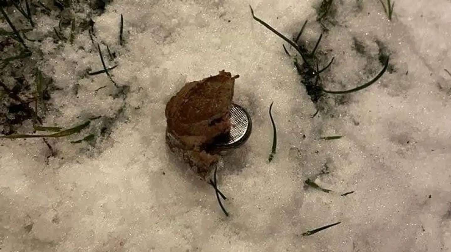 Et kødstykke med et batteri.