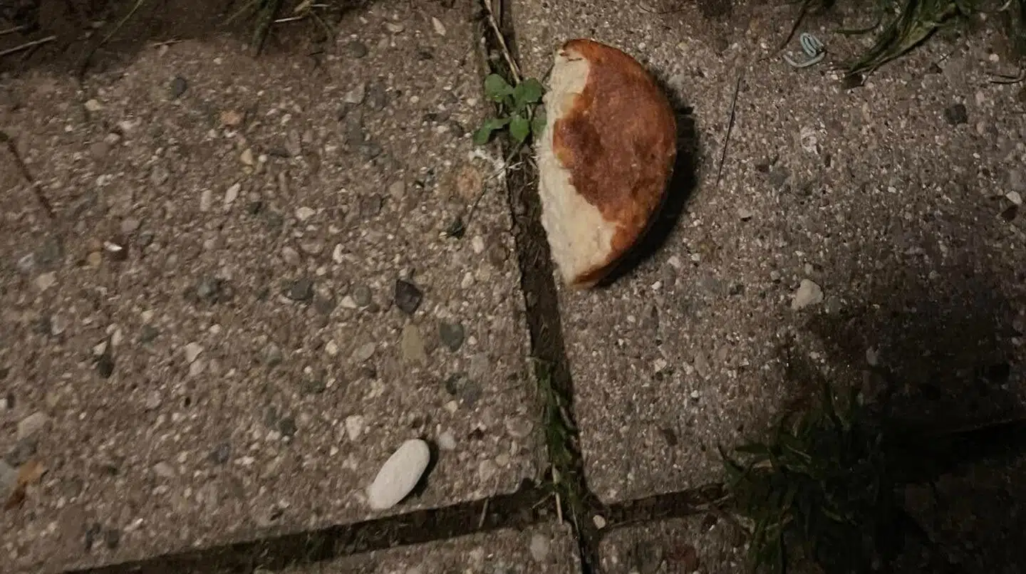 Her ses en frikadelle og pille, som Tine Kølle har fundet.