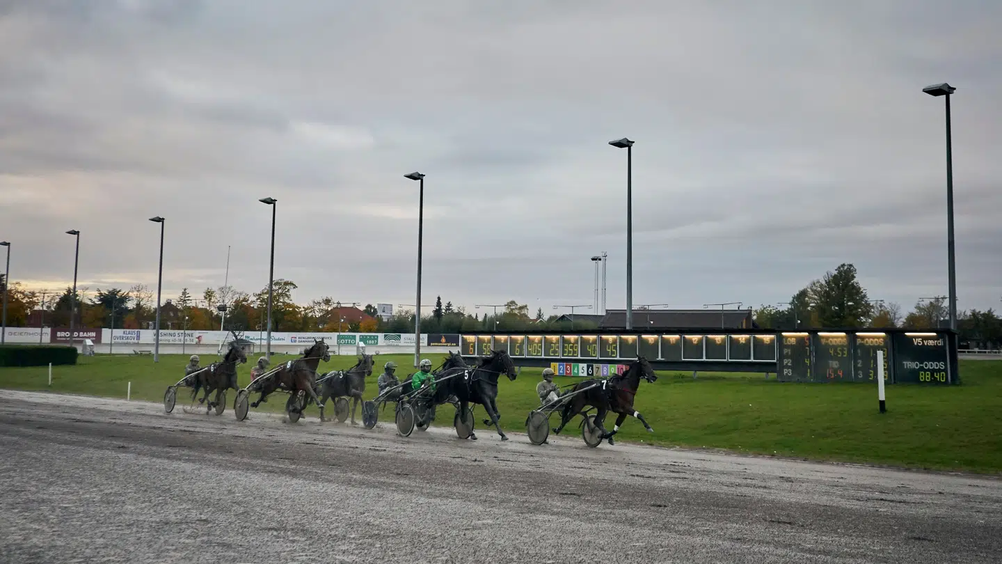 ARKIV: Her ses en flok travheste i aktion på Charlottenlund Travbane.