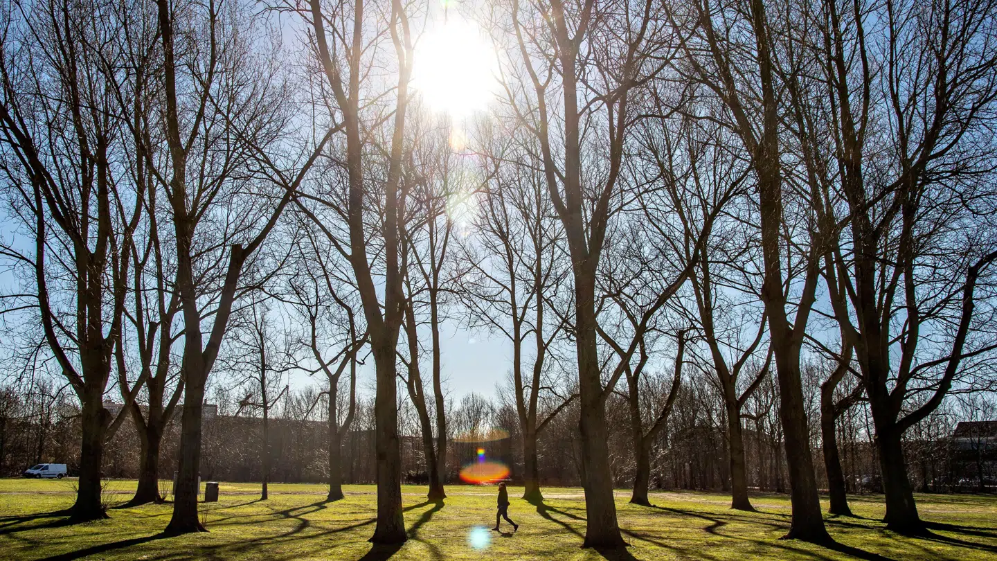 Bortset fra Bornholm ser det ud til at blive en flot lørdag med solskin, lyder det fra DMI.