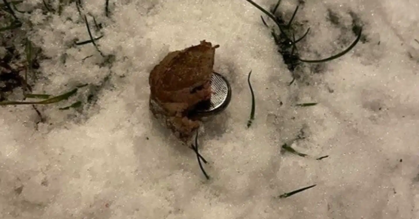 Frikadelle med batteri.