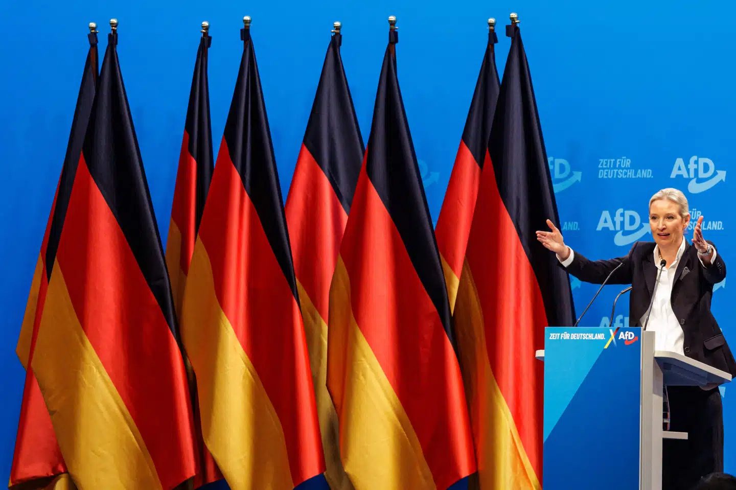 Ved siden af en lang række tyske flag taler Alice Weidel til AfD-medlemmer i Riesa.