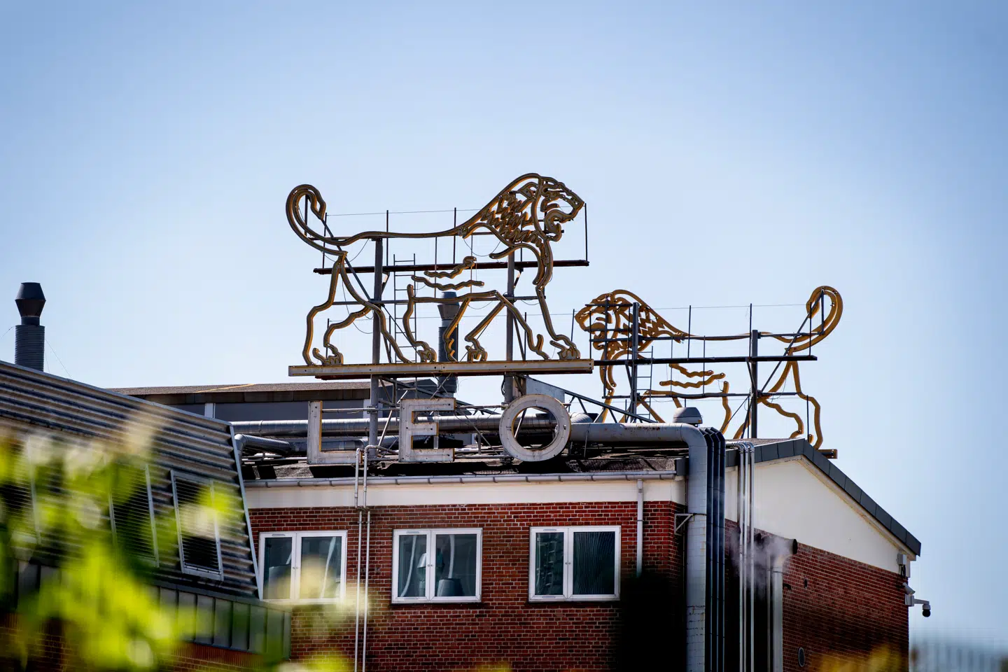 Danmarks tredjestørste medicinalkoncern er på blot ti år gået fra at være en stenrig fondsejet virksomhed, til at kæmpe for overlevelse med en kæmpegæld. Nu har selskabet nået det ifølge den fransk-tyske topchef Christophe Bourdon nået en historisk milepæl.