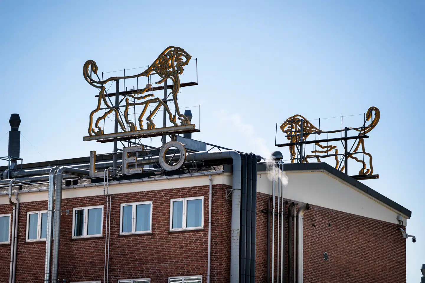 Leo Pharma blev stiftet i 1908 af apotekeren August Kongstad. I 1912 fik selskabet sit gennembrud med den smertestillende pille Albyl. Senere hjalp Kongstad med at få insulinproduktion op at køre i Danmark – det, der blev til Novo Nordisk – og under Anden Verdenskrig var Leo Pharma først til at producere penicillin uden for USA og Storbritannien. Det senere år har det fondsejede selskab kæmpet for sin fremtid.