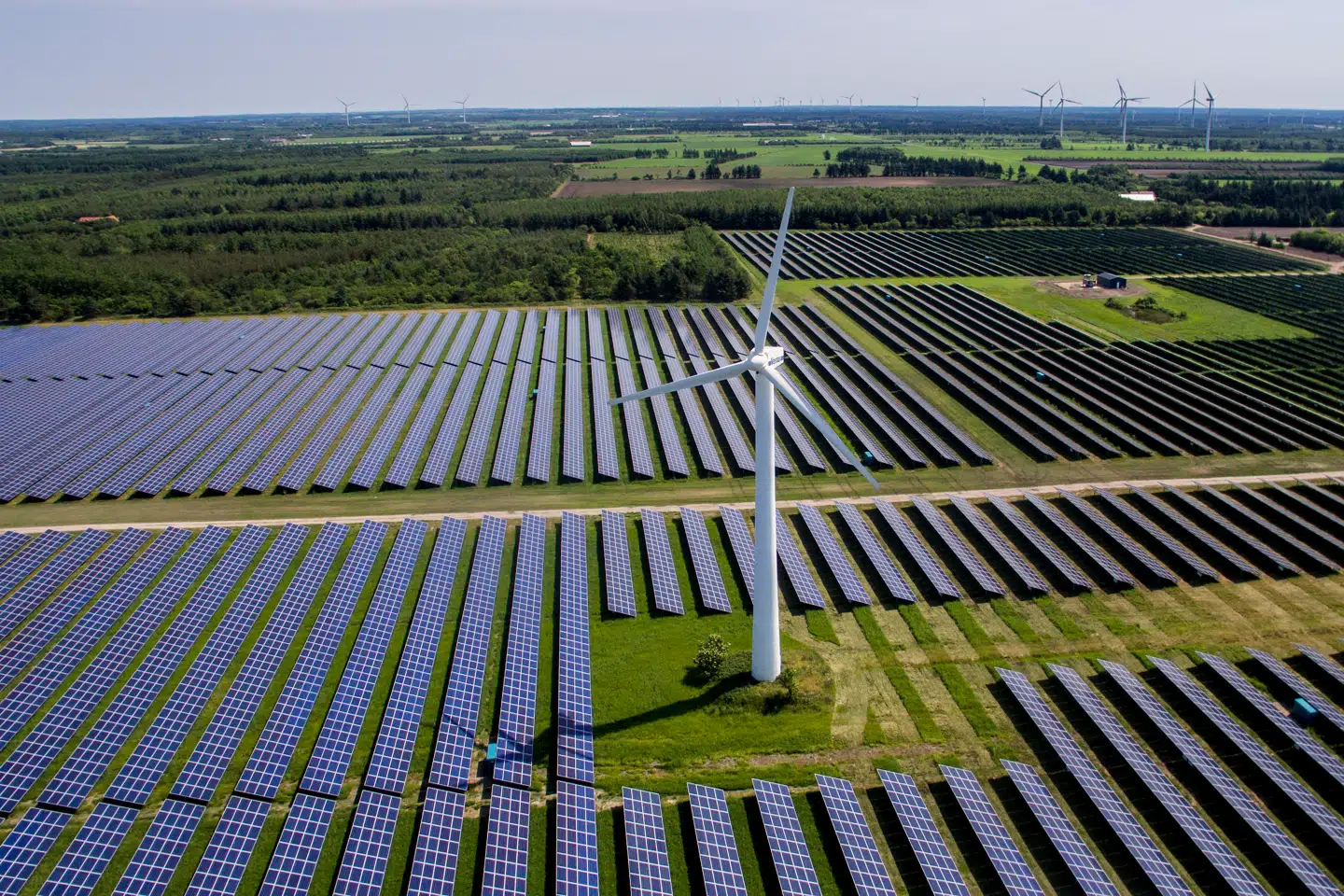Selskabet bag en række danske solcelleparker, blandt her ved Nees, kæmper lige nu for sin overlevelse, og det kan koste både stiftere og deres familier dyrt, hvis det ikke lykkes.