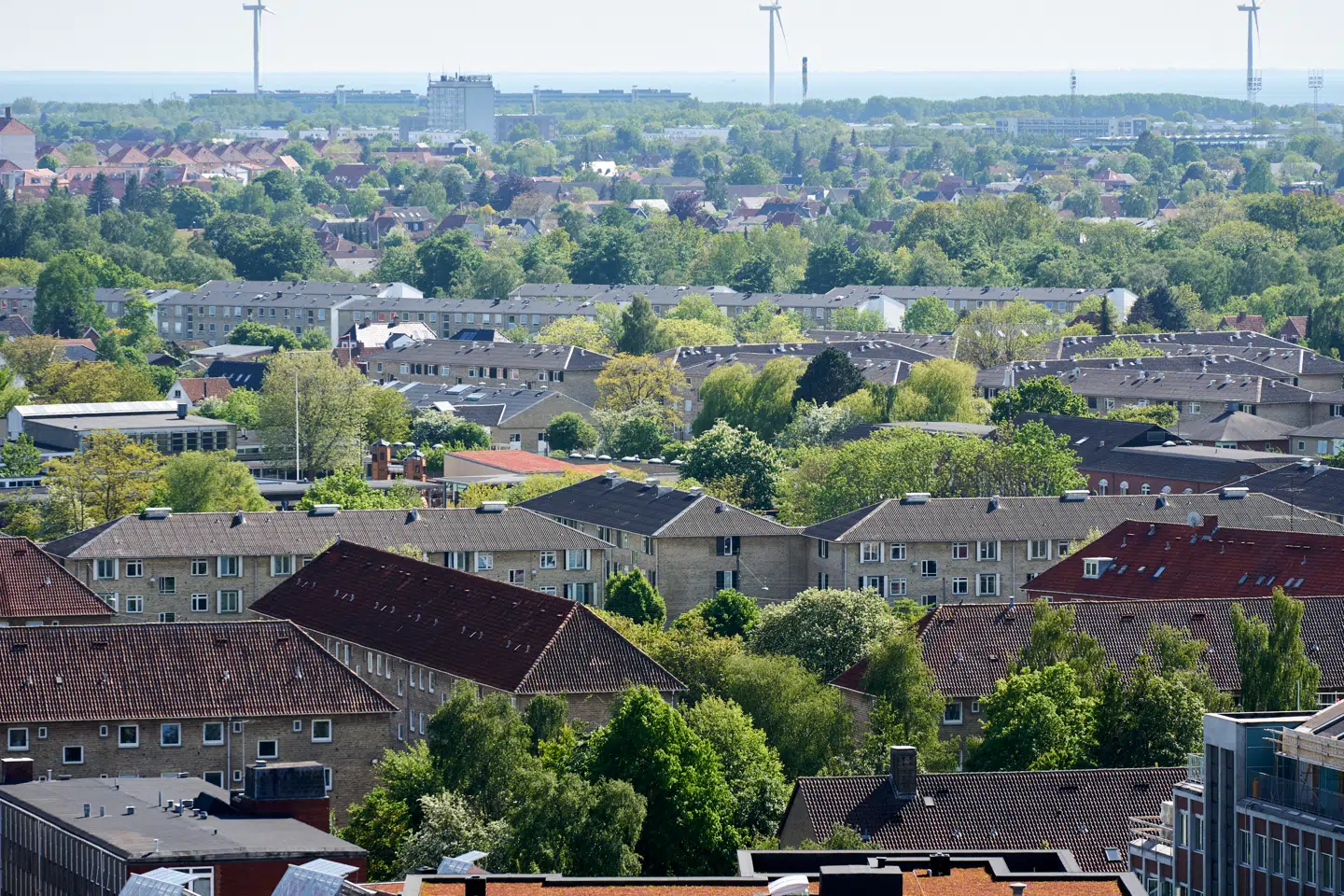 »Hverken ECB eller andre kan sige med ret stor sikkerhed, hvad renten vil være så langt ude i fremtiden,« skriver Las Olsen, men kommer alligevel med et gæt på, hvordan renteniveauet for de forskellige lånetyper kan se ud om fem år.