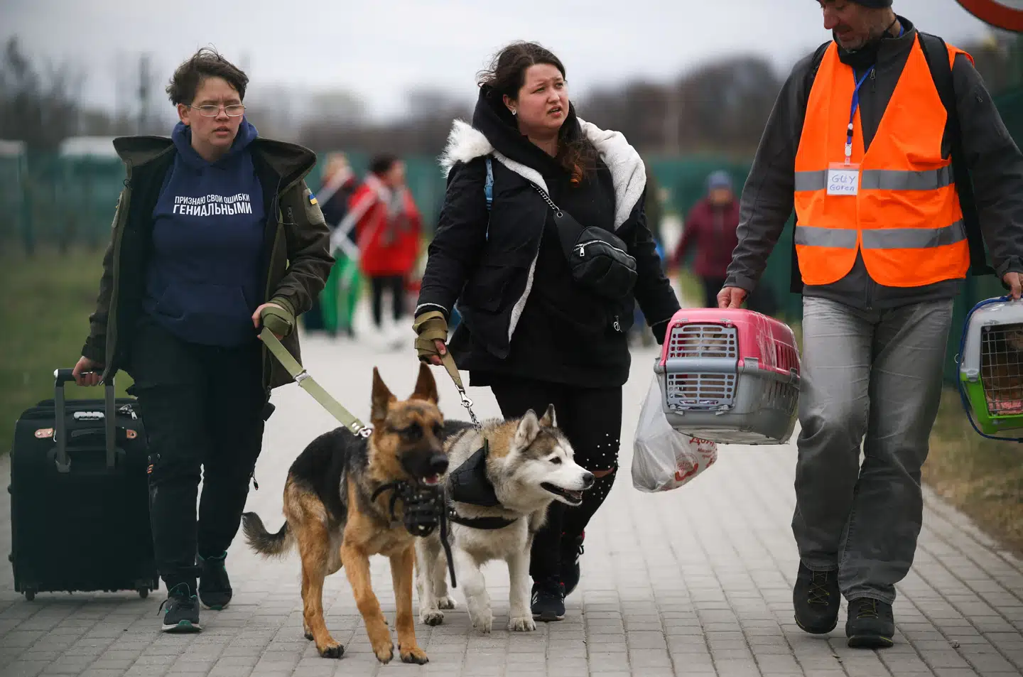 Ukrainske flygtninge med kæledyr ved den polsk-ukrainske grænse fotograferet få måneder efter den russiske invasion i 2022.
