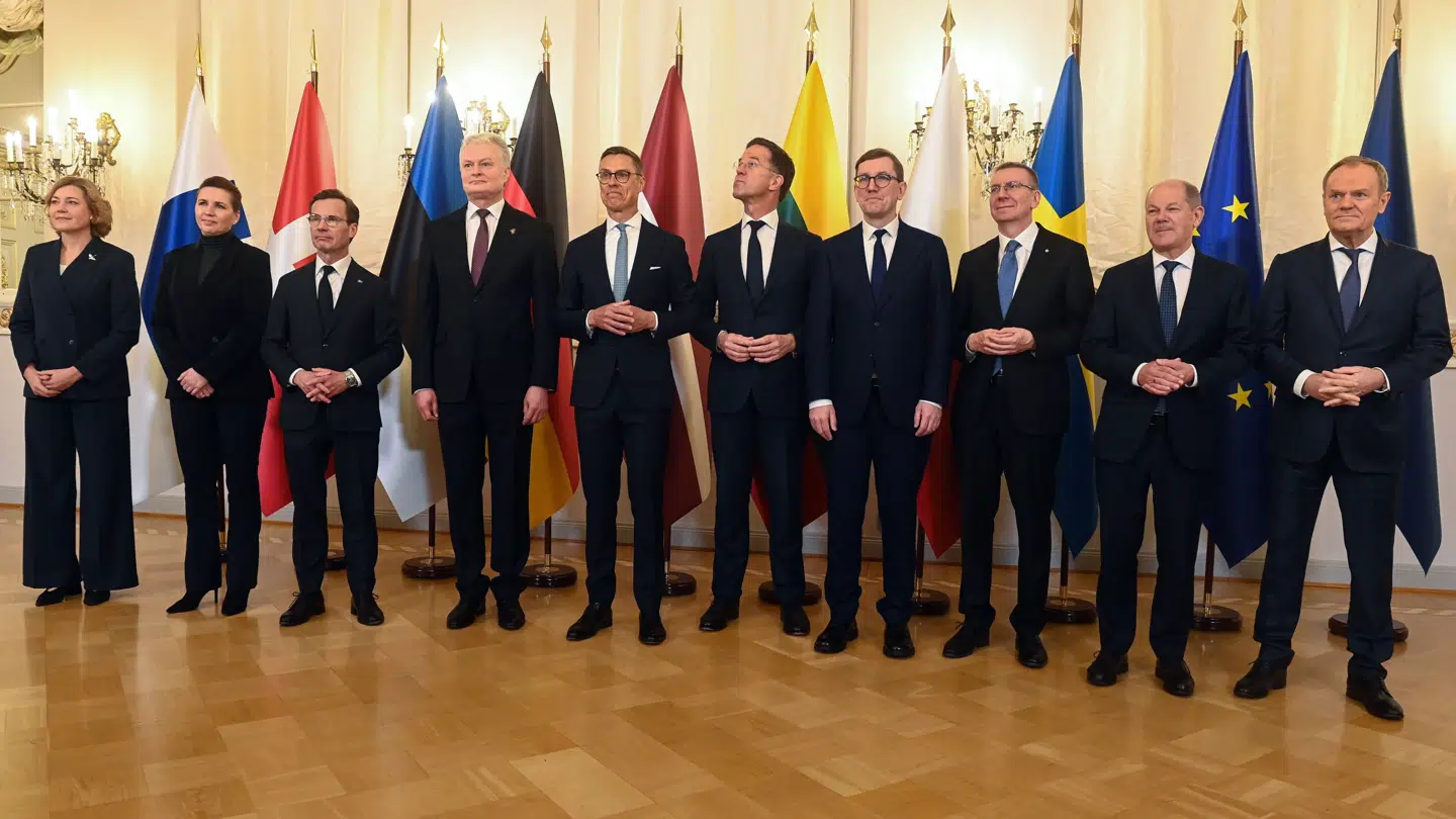 En række regeringsledere deltager i Nato-mødet.