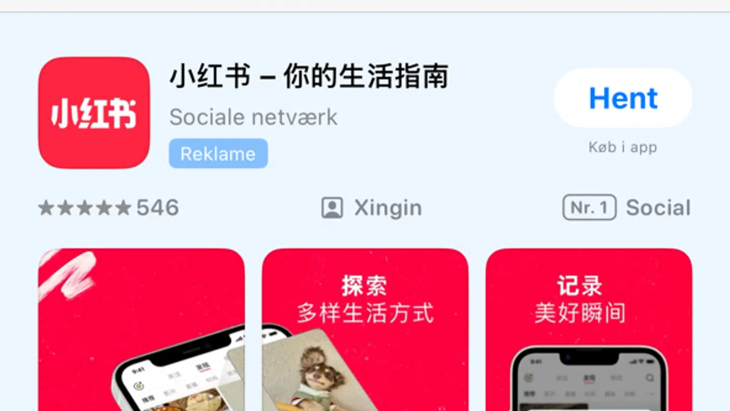 Sådan præsenteres den kinesiske app i App Store.