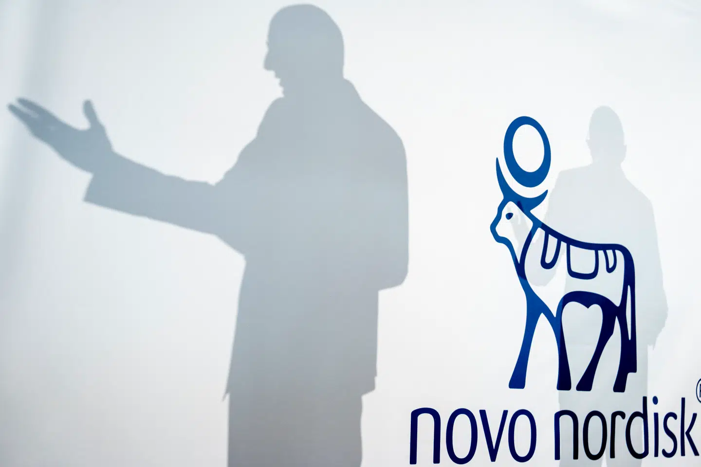 Novo-aktien er faldet mærkbart det seneste halve år.