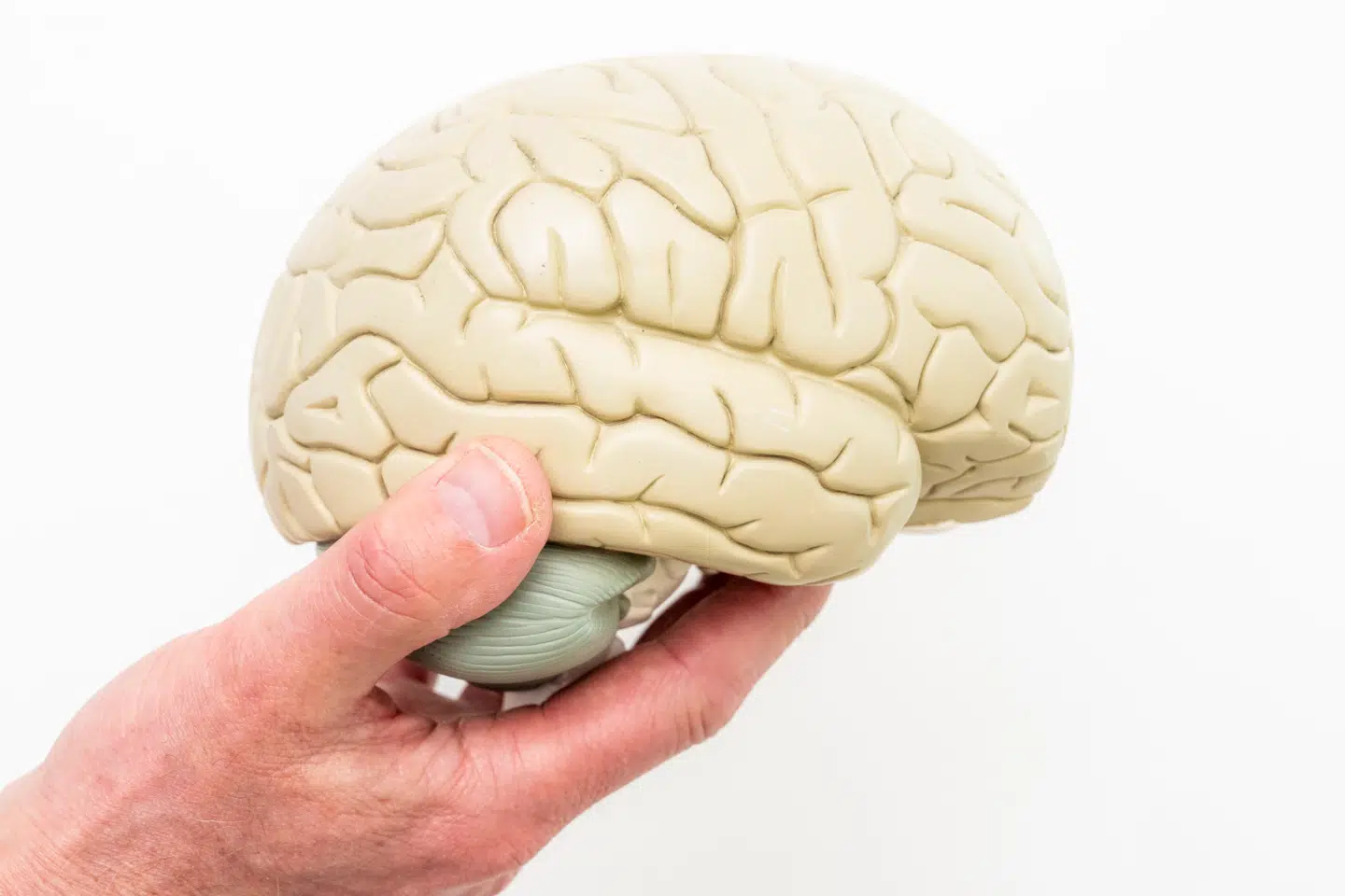 I dag lever cirka 100.000 danskere over 65 år med demens. Tallet vil vokse i fremtiden, viser en prognose fra Nationalt Videnscenter for Demens.