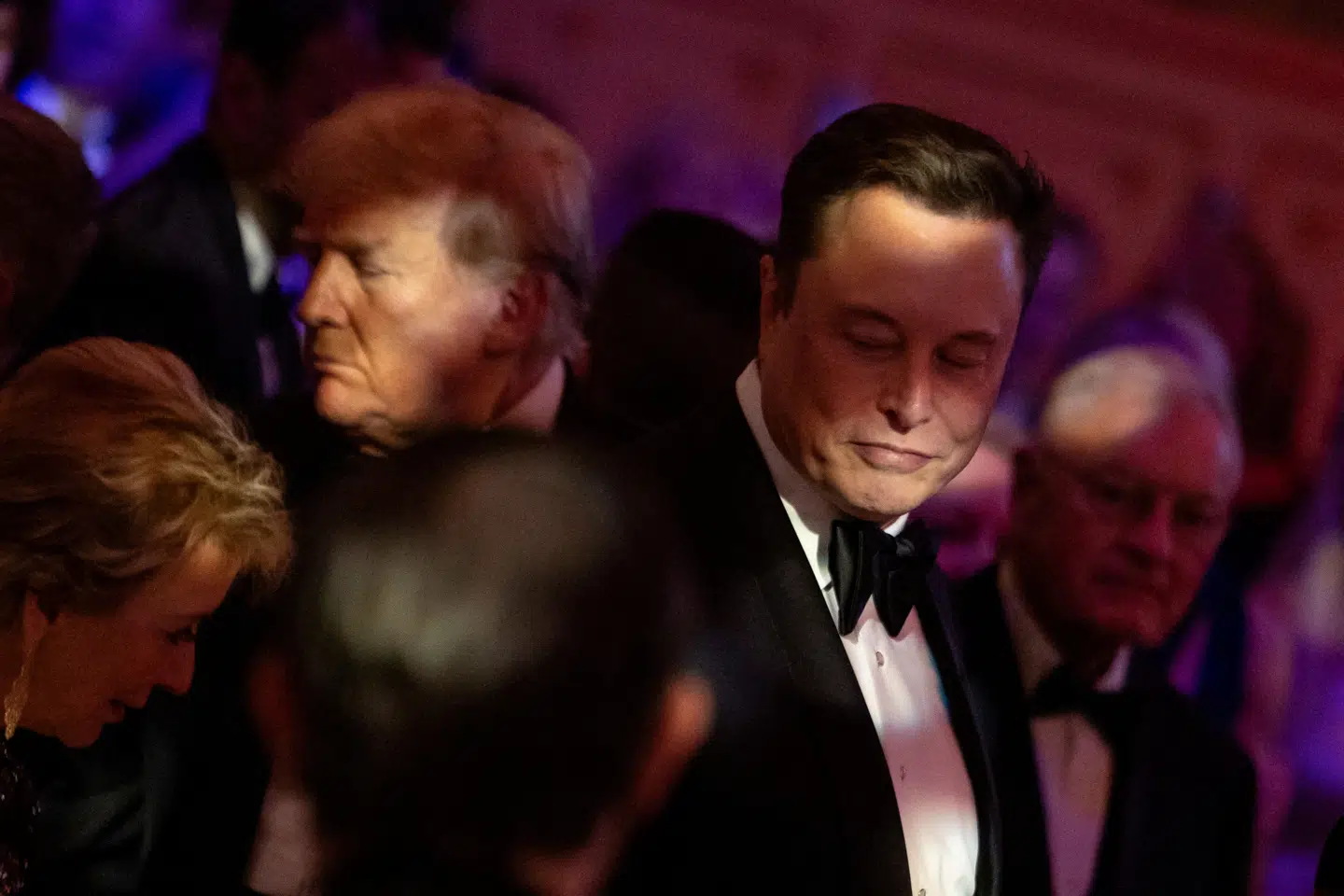 Donald Trump og Elon Musk ses her under et arrangement i Mar-a-Lago den 14. november.