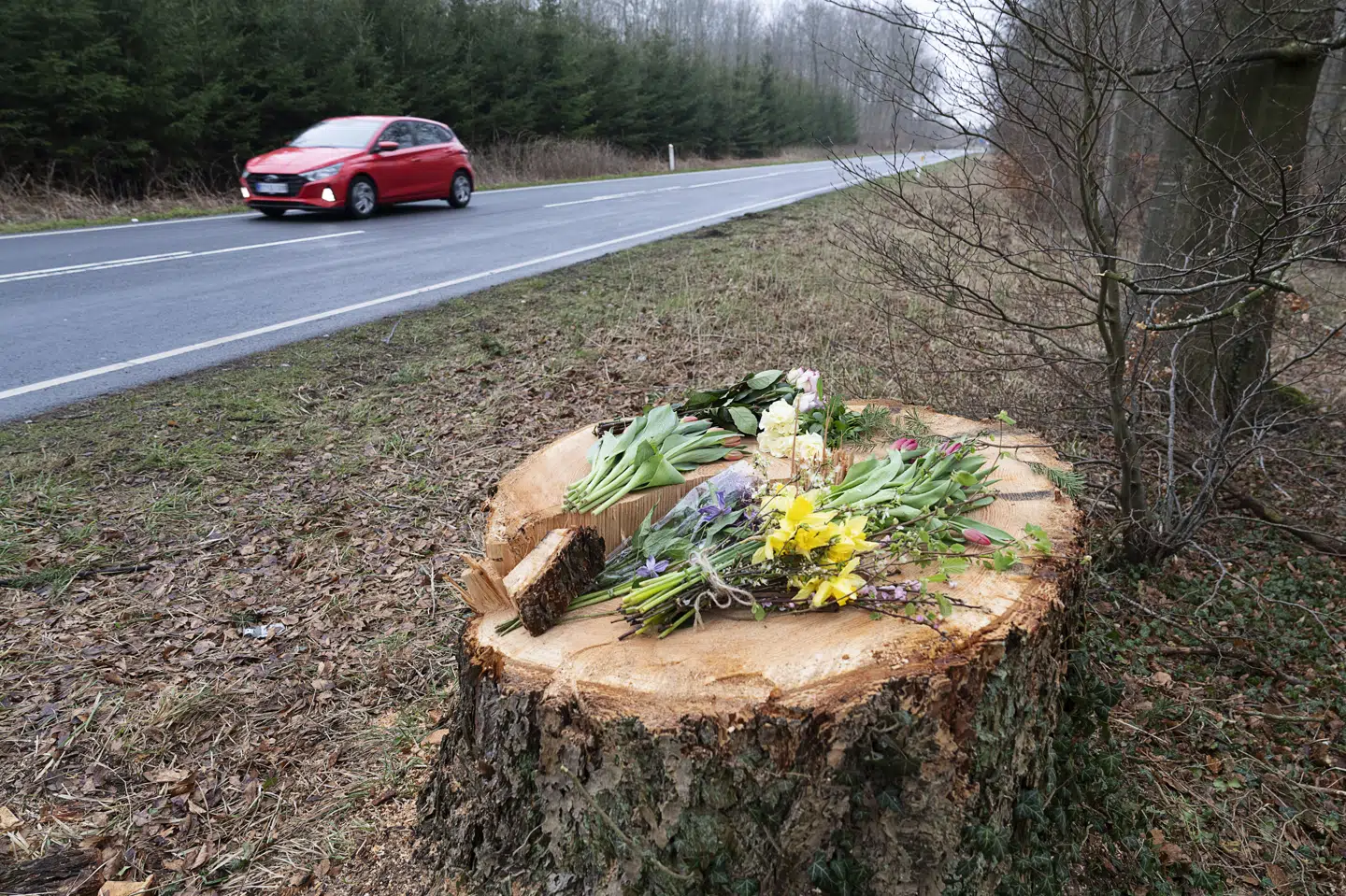 Blomster blev efterladt på træstubben på Parnasvej i Sorø, hvor en 55-årig efterskolelærer afgik ved døden, da et træ væltede ned over hans bil. (Arkivfoto).