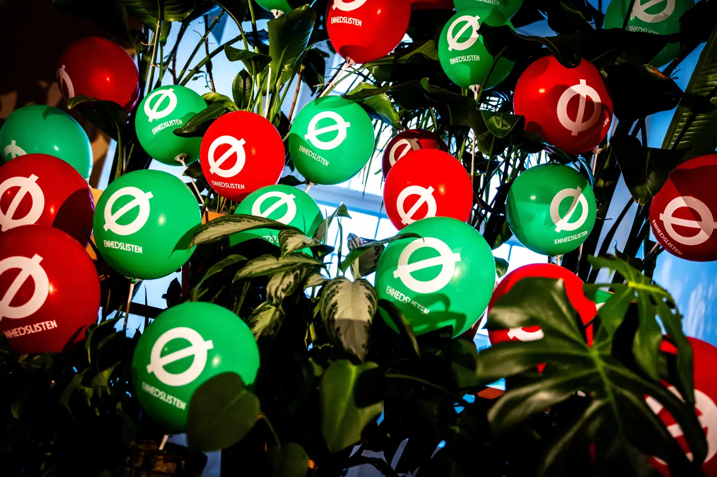 I december blev Rødt Venstre stemplet som "partiskadelig" af Enhedslisten. Nu vil gruppen lave en ny venstrefløjsalliance. (Arkivfoto).