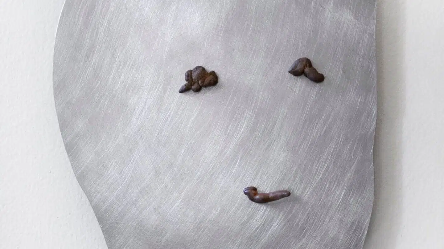 Værkerne »shitface« nummer 1, 2 og 3 er lavet af Louis André Jørgensen.