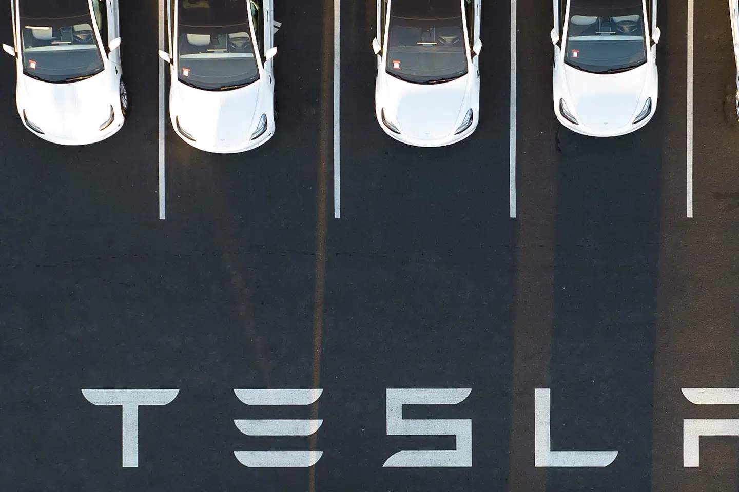 Tesla måtte se sin omsætning, der er direkte relateret til salget af biler, gå tilbage i 2024. (Arkivfoto).