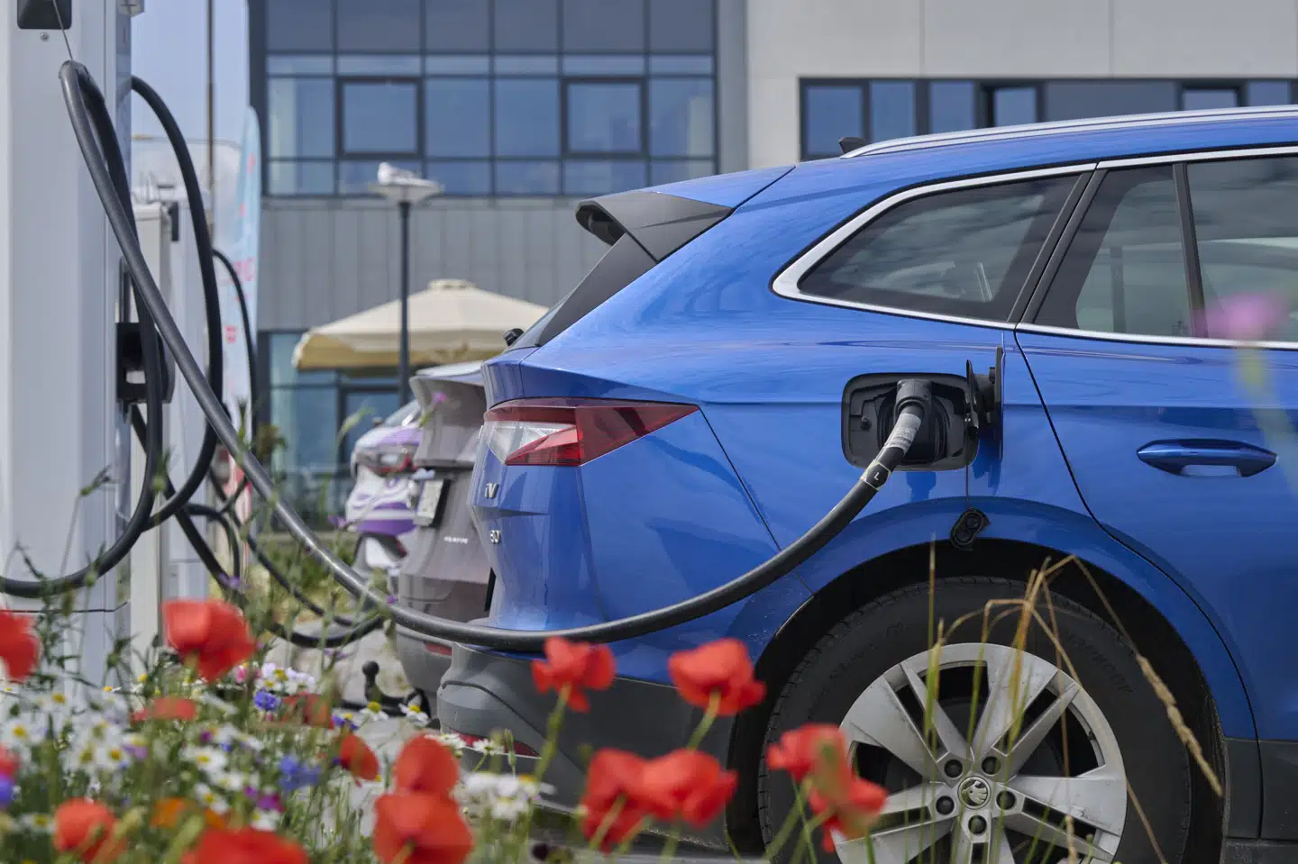 2024 blev det første år, hvor der blev solgt flere elbiler end fossilbiler i Danmark ifølge tal fra Mobility Danmark. (Arkivfoto).