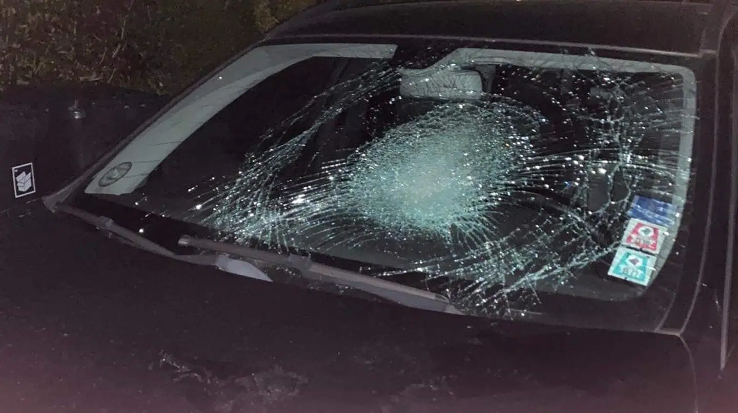 Sådan så forruden ud på den ene af familiens to biler efter mødet med gerningsmændene.
