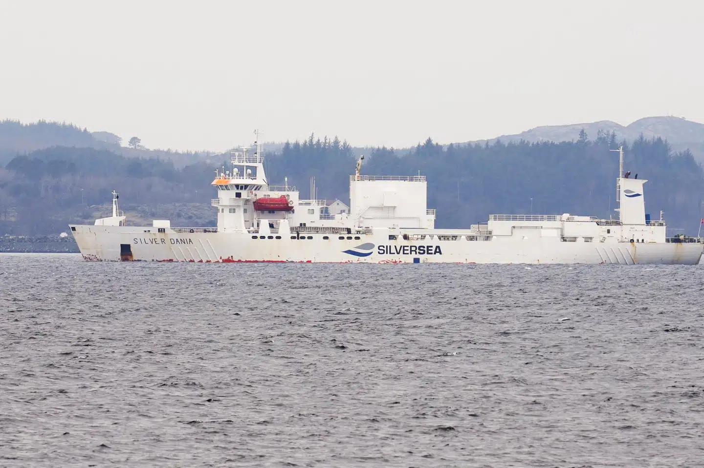 Fragtskibet "Silver Dania" lå i 2022 ud for Karmøy i Norge. Skibet er fredag ved at blive ransaget af norske myndigheder. (Arkivfoto).