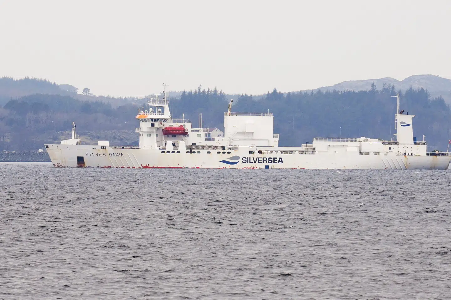 Fragtskibet "Silver Dania" lå i 2022 ud for Karmøy i Norge. Skibet er fredag ved at blive ransaget af norske myndigheder. (Arkivfoto).