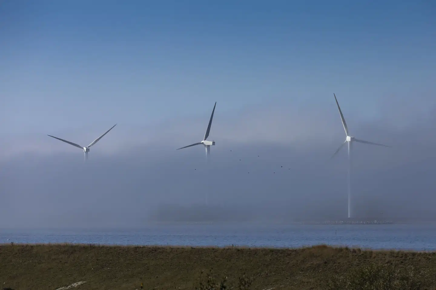 2024 blev et udfordrende år for energiselskabet Ørsted, siger topchef Rasmus Errboe. (Arkivfoto).