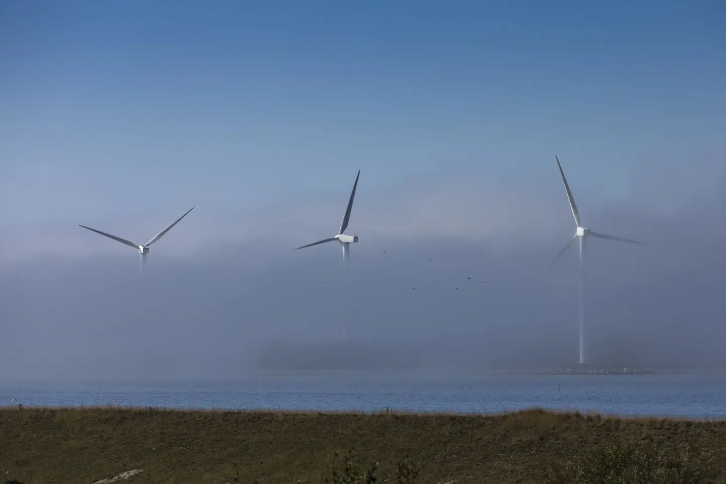 2024 blev et udfordrende år for energiselskabet Ørsted, siger topchef Rasmus Errboe. (Arkivfoto).