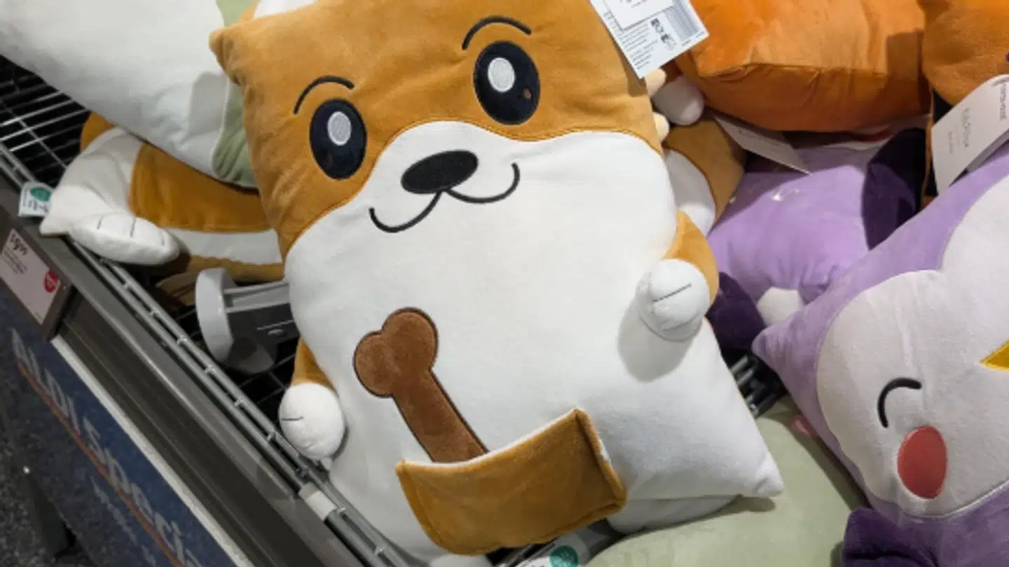 Denne bamse, som er blevet solgt i et Aldi-supermarked, vækker opsigt på nettet.