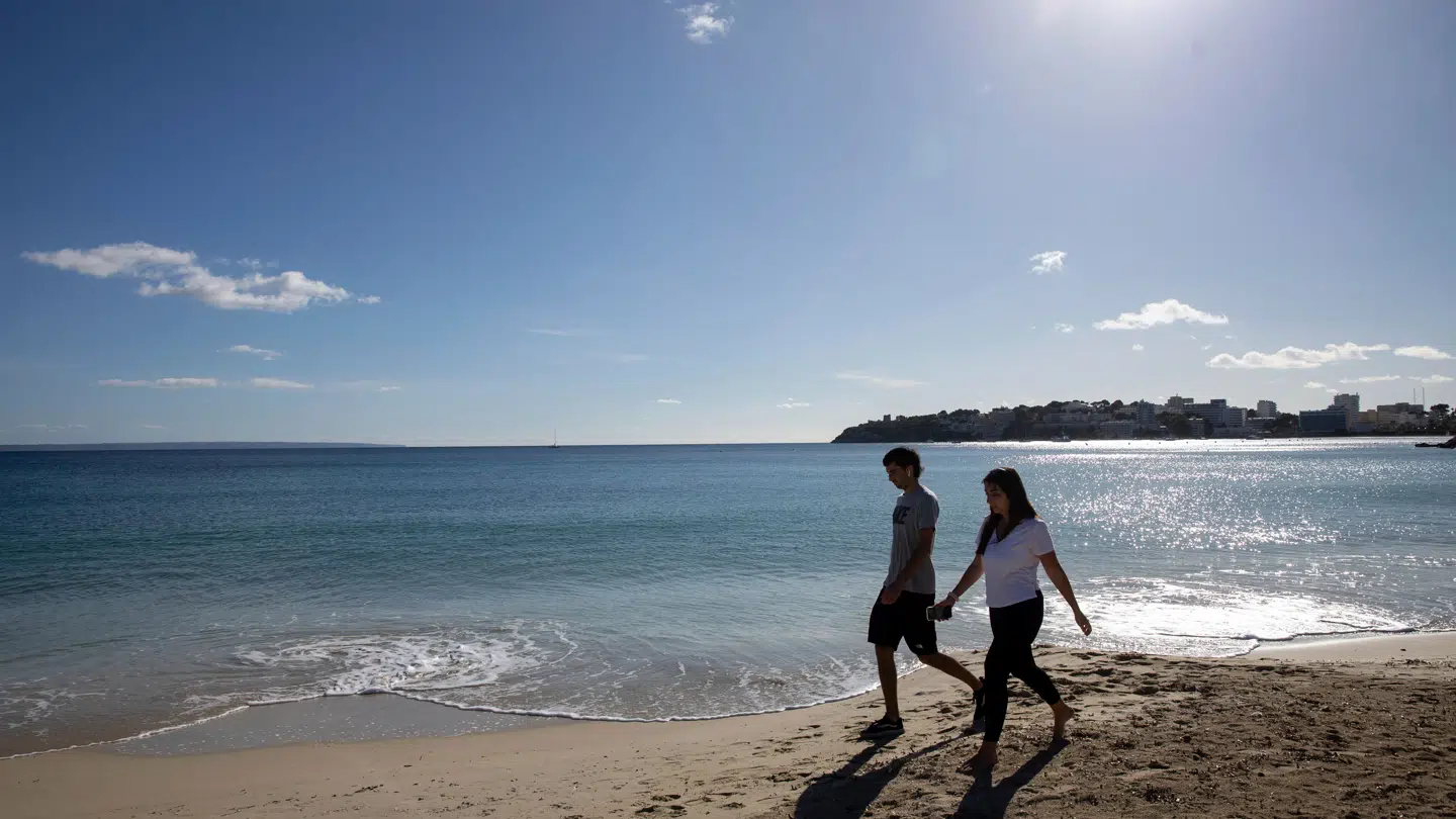Flypriserne falder også til destinationen Palma de Mallorca.