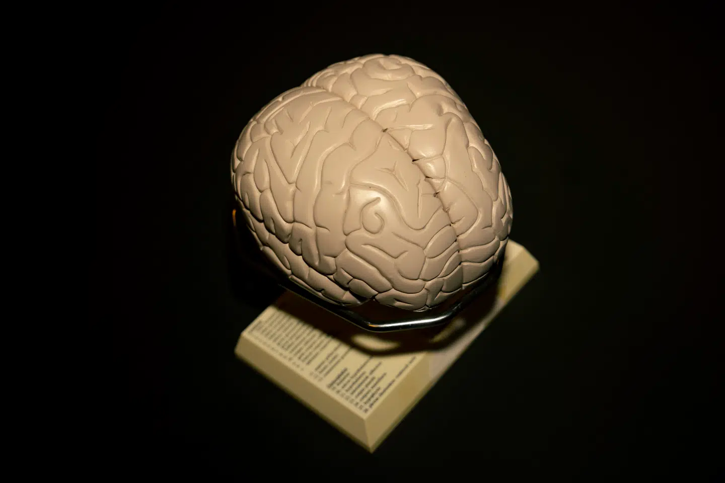 En række studier kæder dårlig mundhygiejne sammen med risikoen for at få en blodprop eller en blødning i hjernen. Nu sætter amerikanske forskere tal på, hvor meget risikoen sænkes hos personer, som gør brug af en særlig vane.