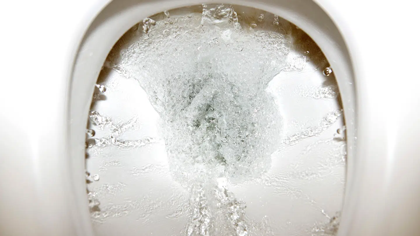 Arkivfoto. En forsker advarer nu mod en særlig toiletvane.