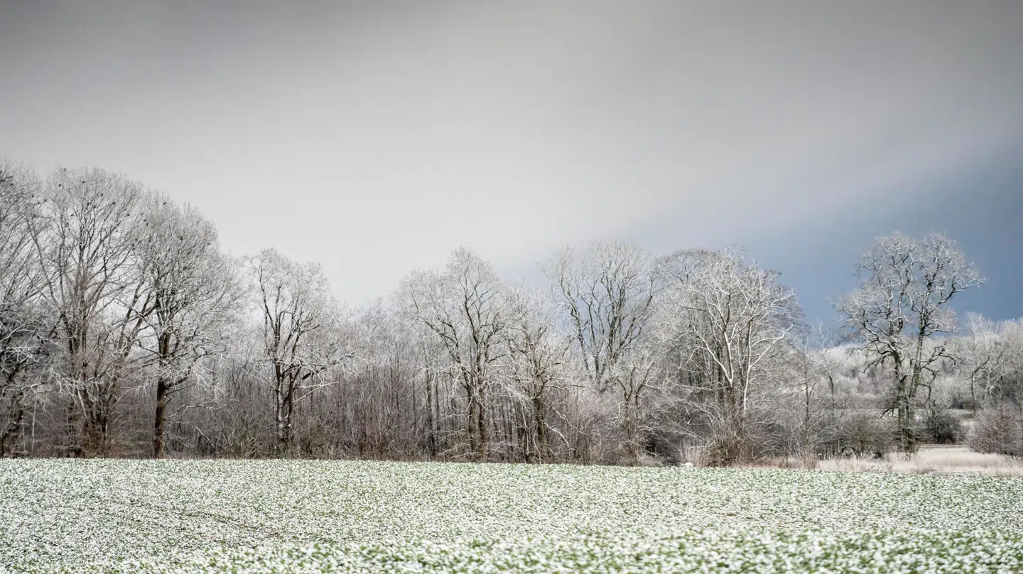 Det bliver en kold tirsdag, hvor det kommer til at føles som frostgrader.