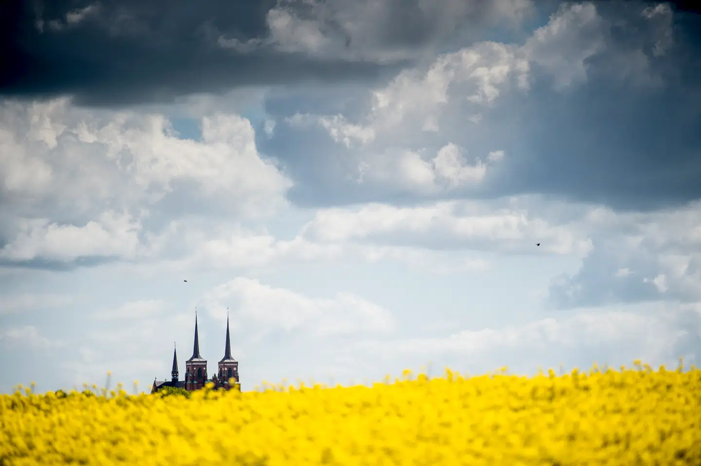 »Når en lokalplan vedtages, bør kirken affinde sig med, at det er sådan, det bliver – ligesom os andre,« skriver Malika B. Rosenskjold.