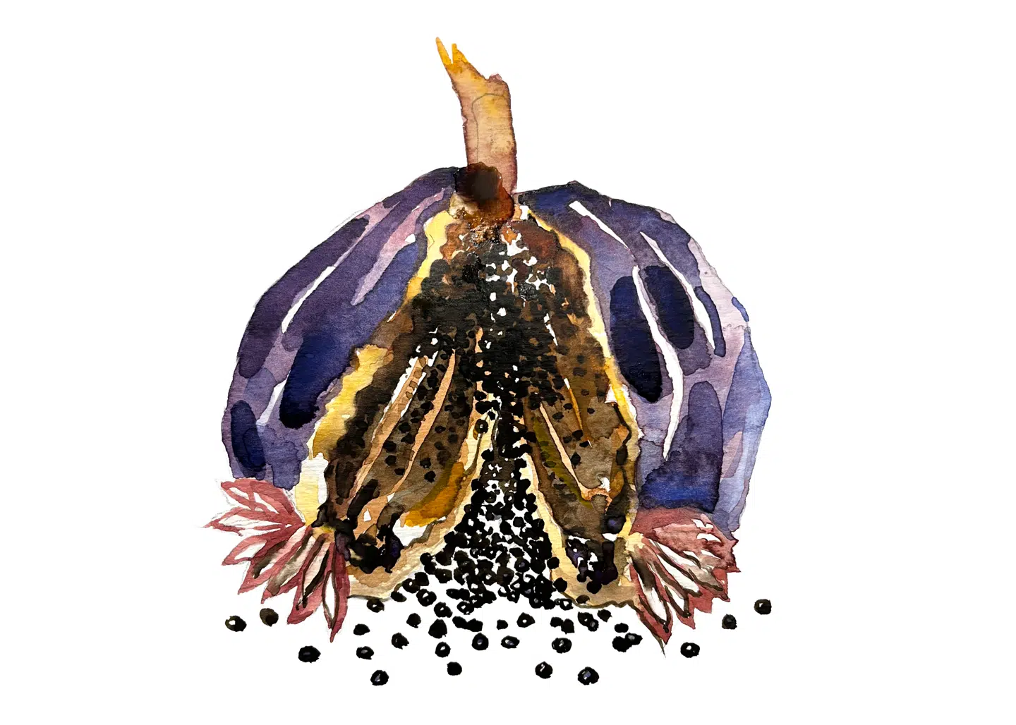 Illustration: Peter Wandel