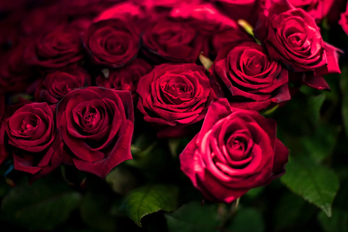 Når du deltager i dagens quiz, er du samtidig med i lodtrækningen om en præmie.