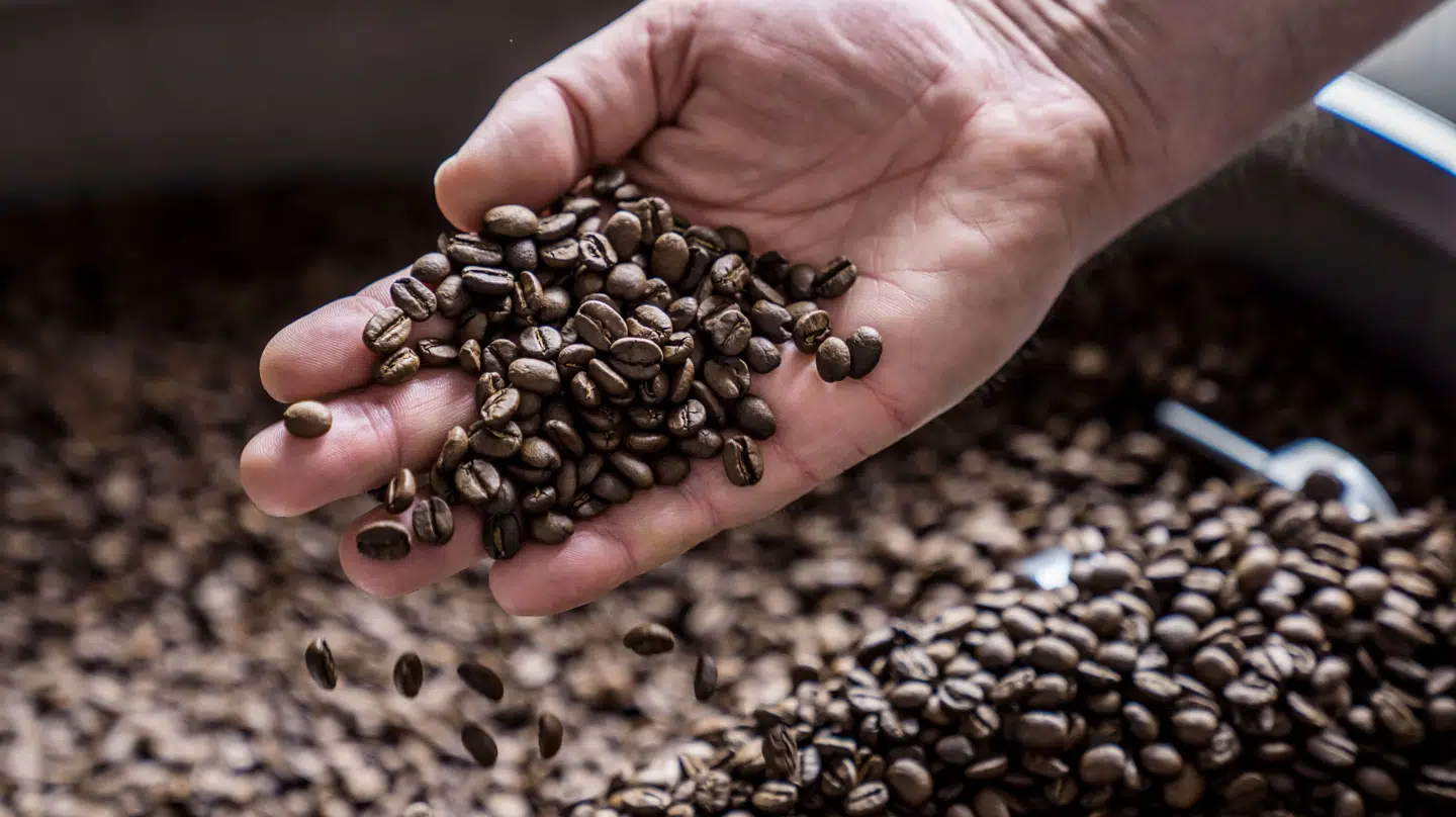 Kaffebønner stiger og stiger i pris