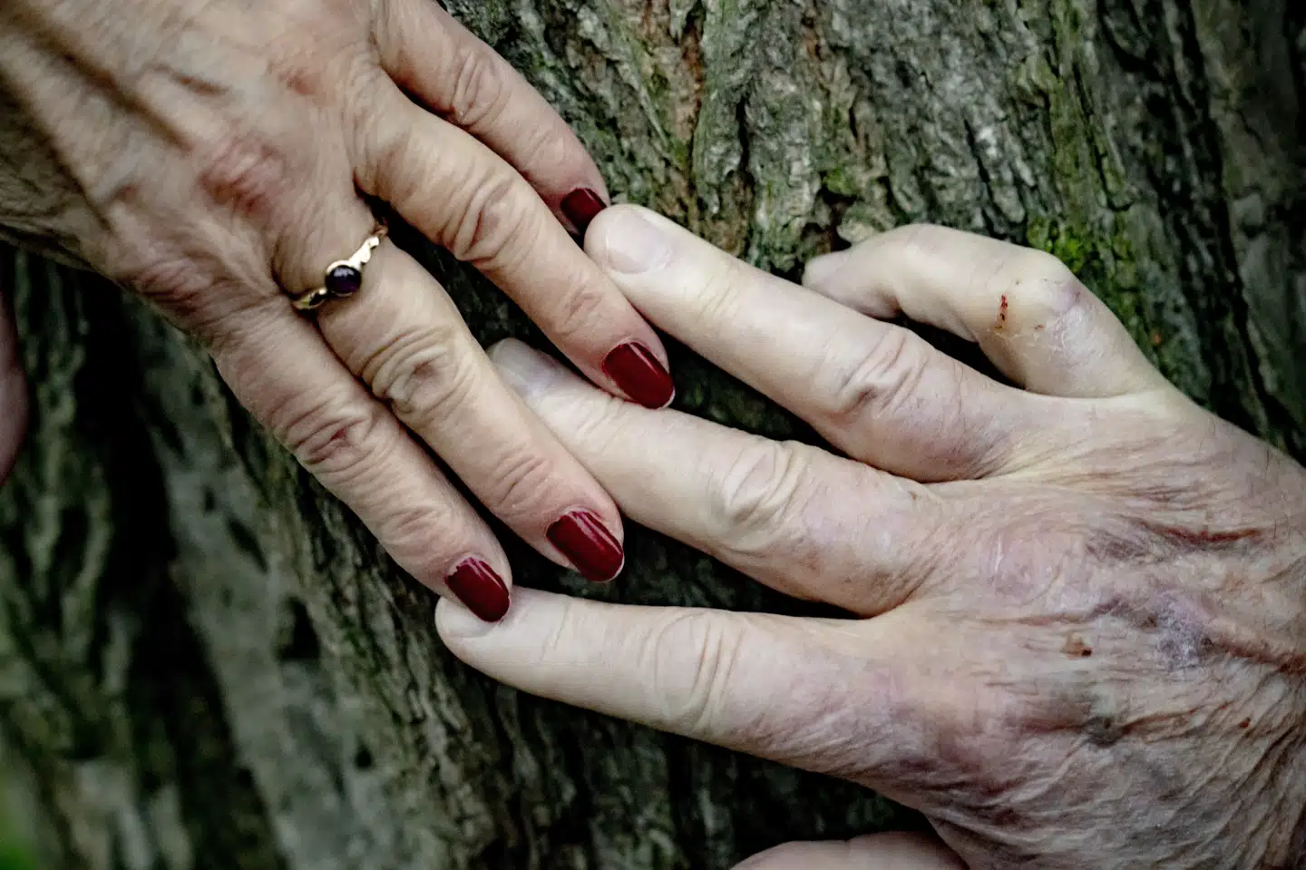 I perioden 2014 til 2024 var der en stigning fra syv til ti viede per 1000 ikkegifte på 60 år og derover. (Arkivfoto).