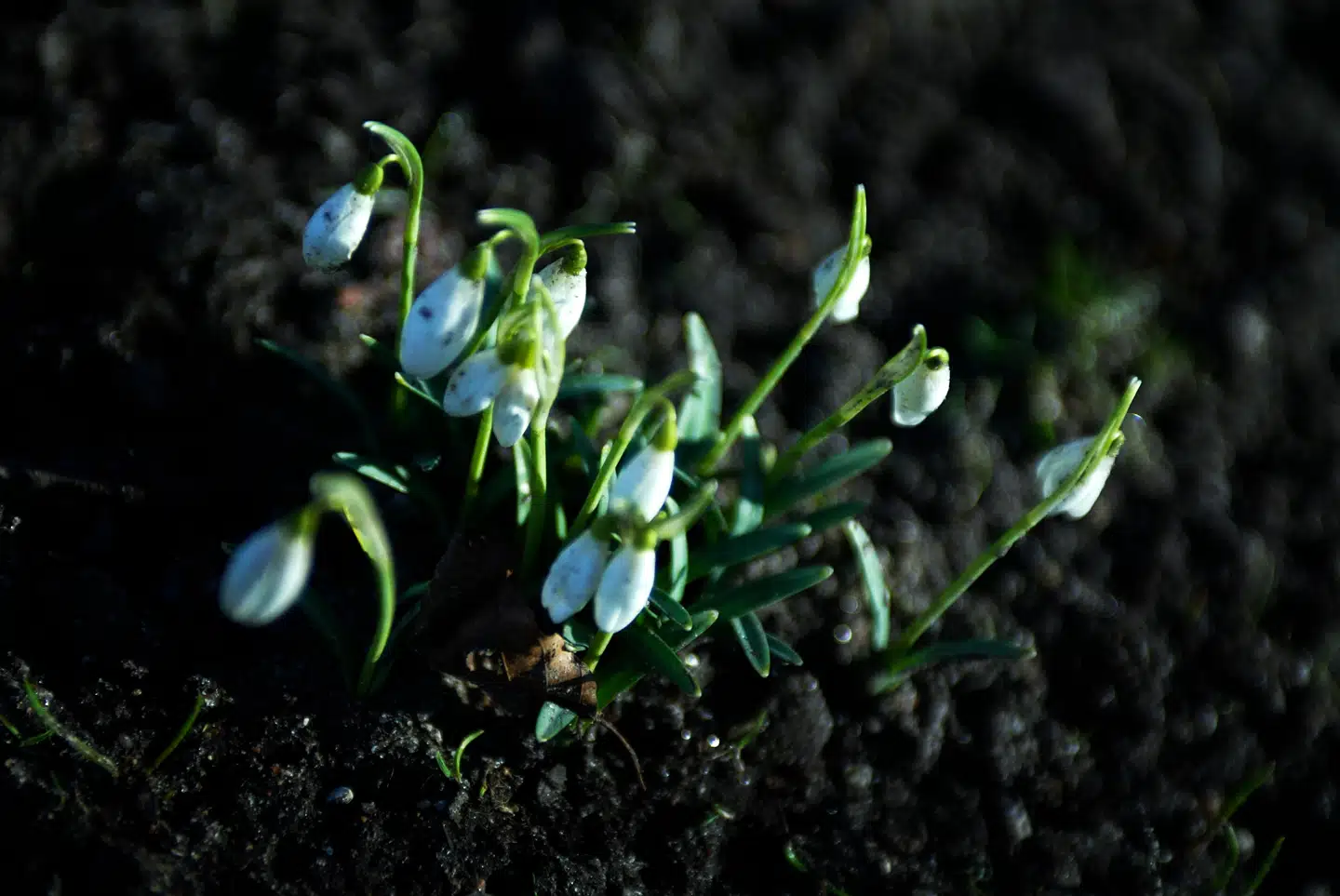 Når du deltager i dagens quiz, er du samtidig med i lodtrækningen om en præmie.
