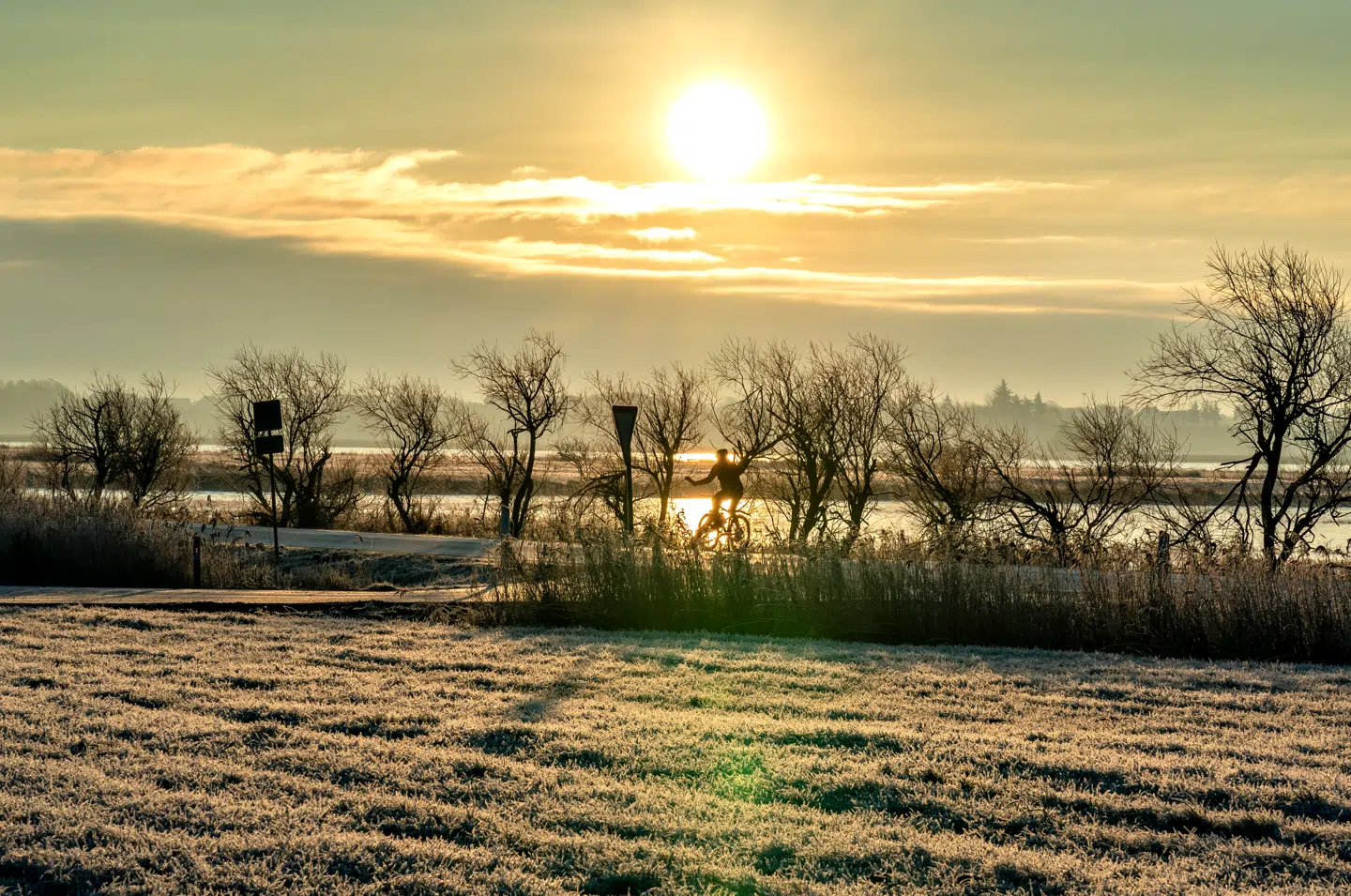 Rimfrost og solopgang efter rimtåge ved Vesløs i Thy , fredag morgen den 27. december 2019.. (Foto: Henning Bagger/Ritzau Scanpix)