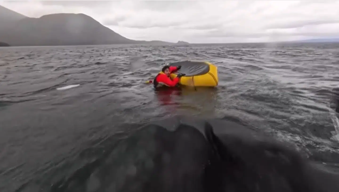 Adrián Simancas ses her i vandet efter oplevelsen. Videoen kan ses lidt længere nede i livebloggen.