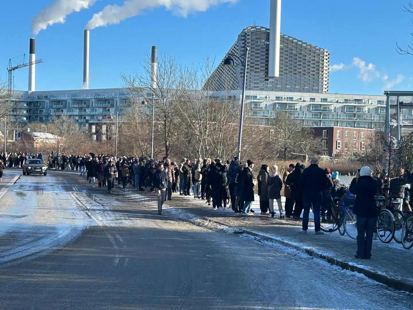 Kø til Noma, søndag den 16. januar.