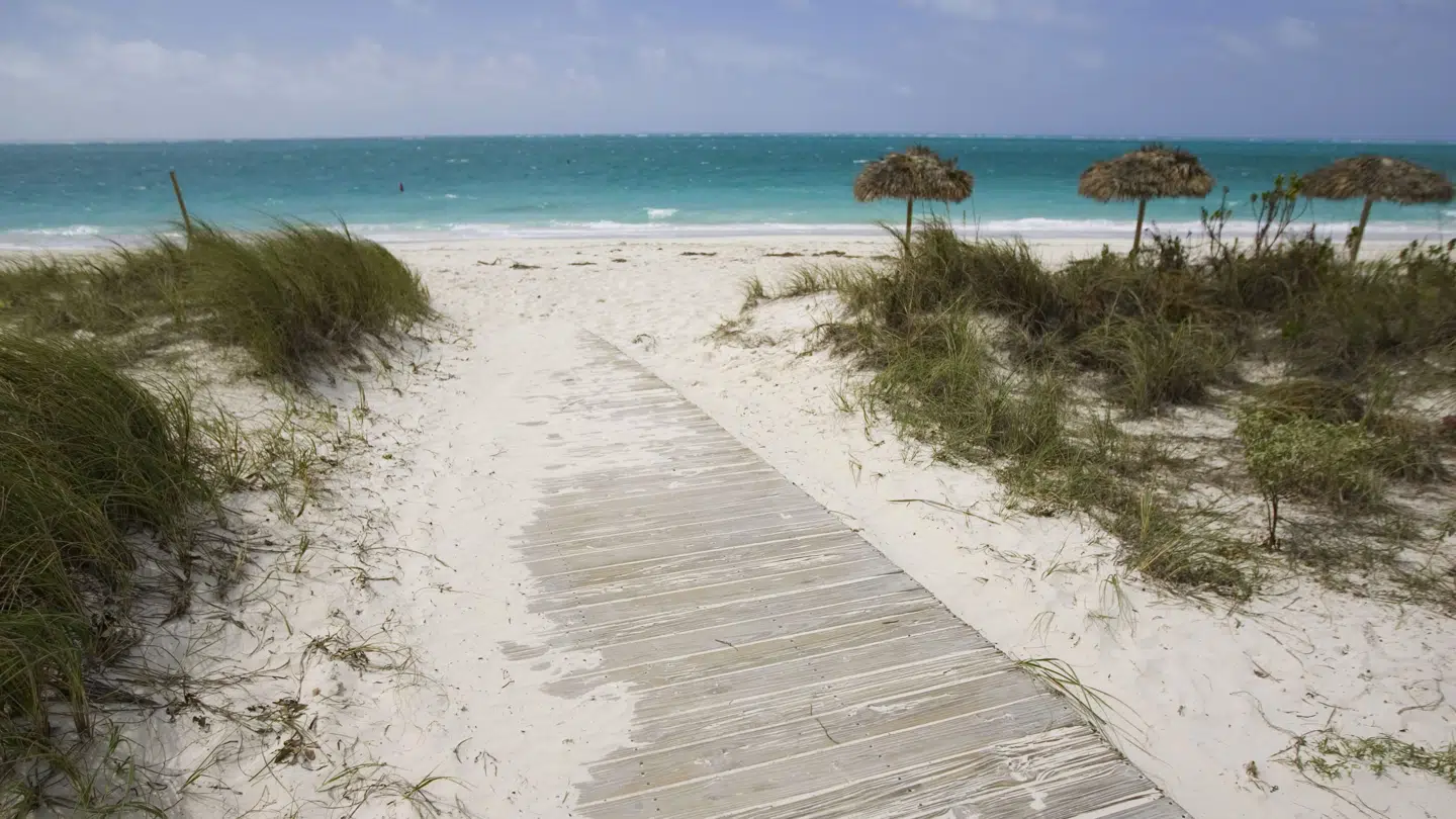 Det var på stranden i Turks- og Caicosøerne i Caribien som her, at en 55-årige kvindelig turist mistede begge hænder, efter hun ville tage en selfie med en haj.