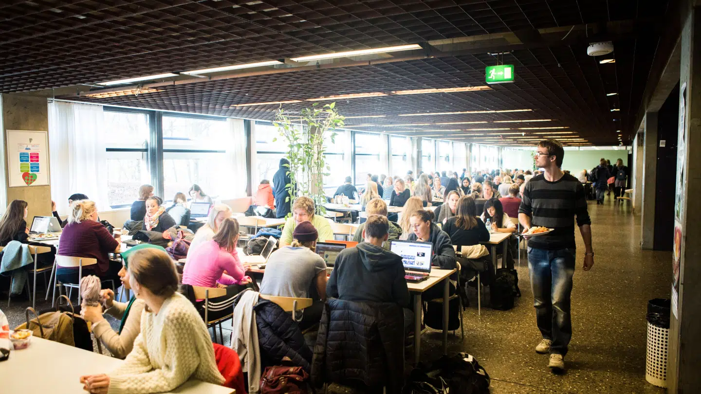 Rektor Jens Ringsmose har truffet en beslutning, der er faldet i dårlig jord i visse kredse.