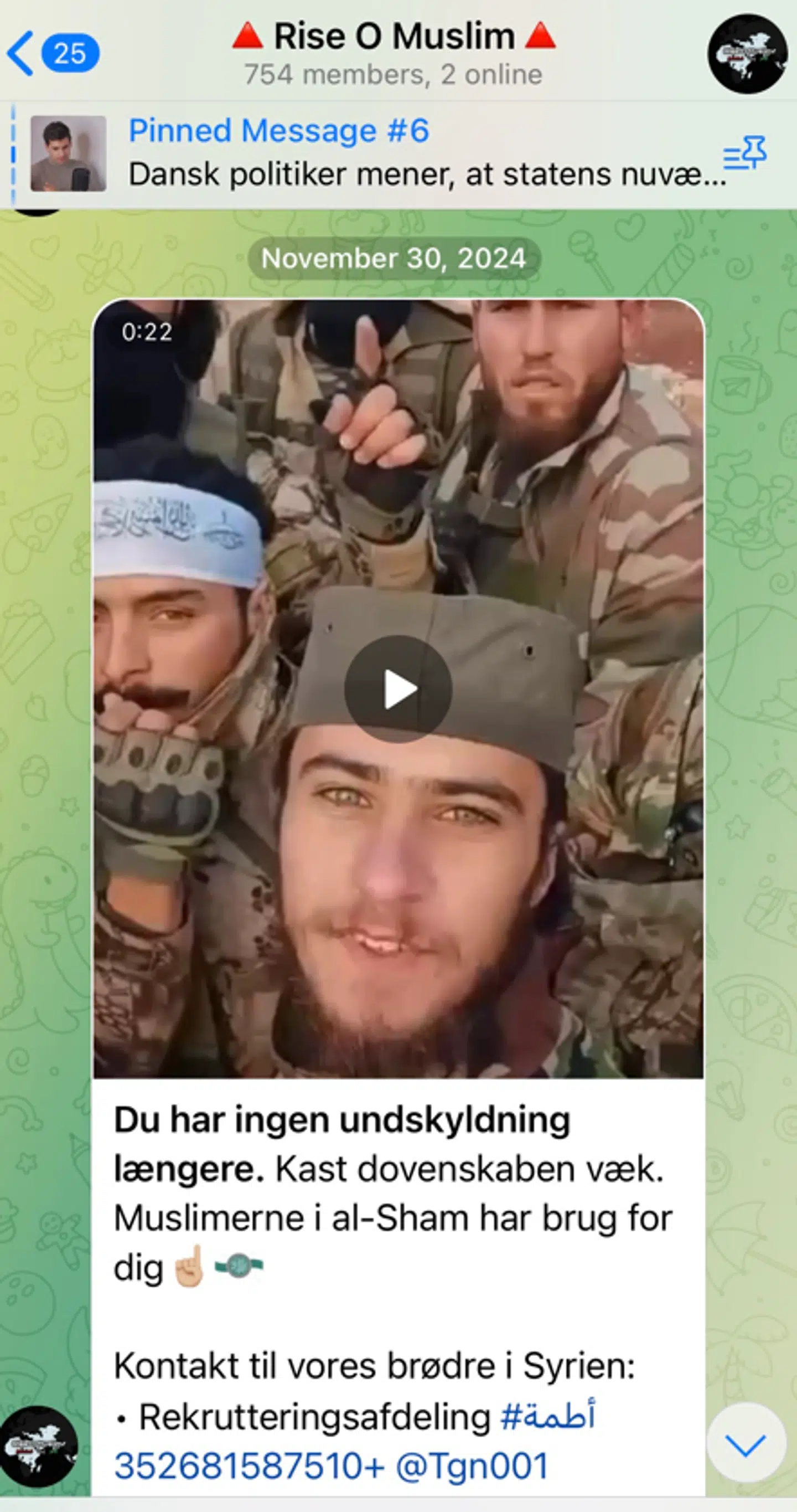 I en besked til B.T. oplyser Telegram-gruppens repræsentant, at 'under den store landoffensiv i november-december mod Bashar al-Assads hær gjorde vi det muligt for muslimer i Danmark at tilslutte sig HTS. Vores gruppe er ikke integreret i HTS, men vi hjalp dem med at få muslimerne i Danmark oplyst om, hvordan de kunne tilslutte sig dem.' HTS er udsprunget af al-Qaeda og betragtes blandt andet af FN og USA som en terrorgruppe.