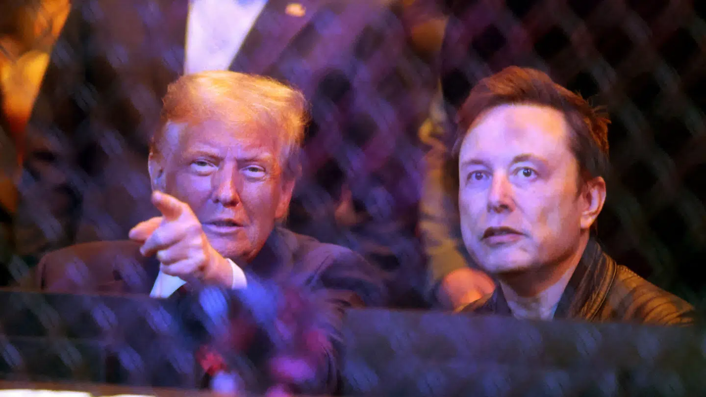 Donald Trump og Elon Musk ses her sammen i november sidste år.