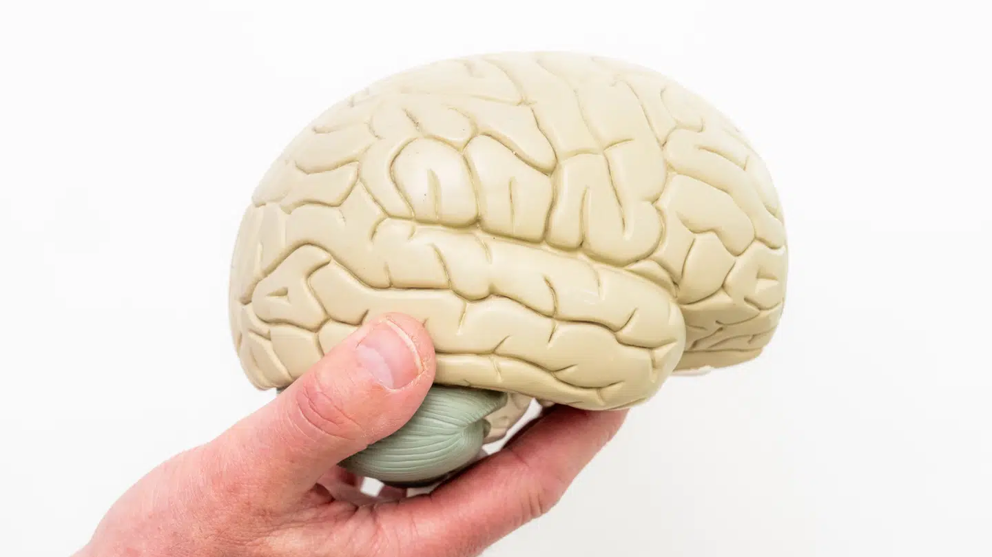 To ud af tre, der rammes af demens, er kvinder. Nu har norske forskere fundet en forklaring på, hvorfor kvinder er mere udsatte end mænd.